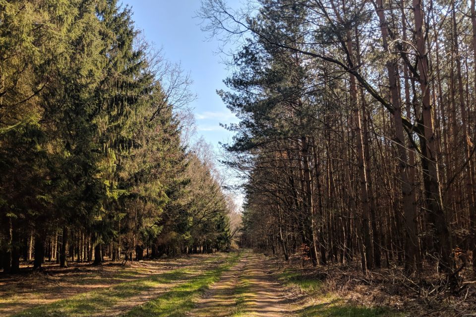 Kunstwanderweg - Steinquelle, Foto: Antje Tischer, Lizenz: TMB-Fotoarchiv