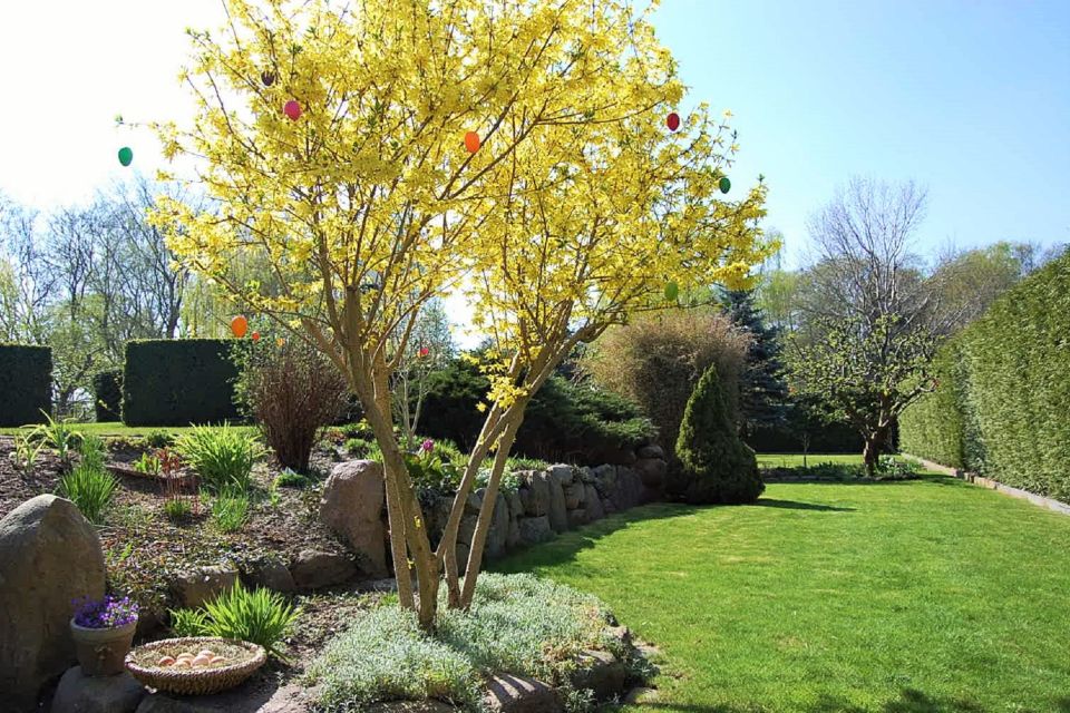 Garten, Foto: Schulze