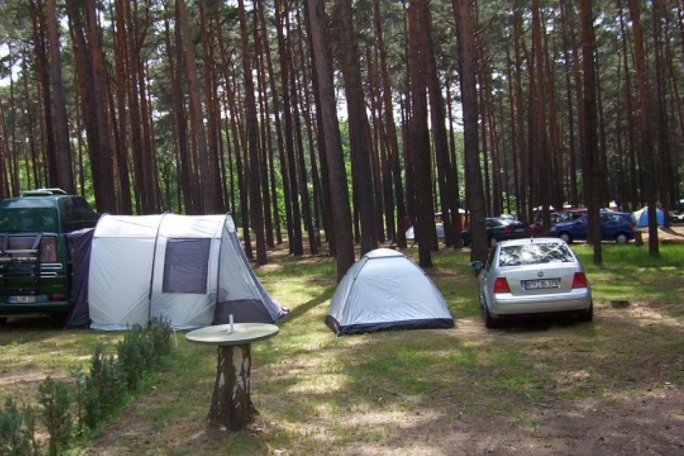 Stellplätze auf dem Campingplatz, Foto: Campingplatz Neue Scheune