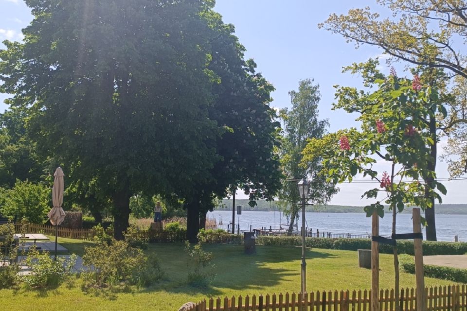 Blick in den Garten, Foto: H. Herrmann, Lizenz: H. Herrmann