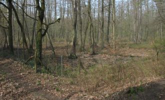 Ehemalige Entenfang-Anlage der Hohenzollern nahe Wildpark-West in Schwielowse, Geltow , Foto: Doris Antony, Berlin