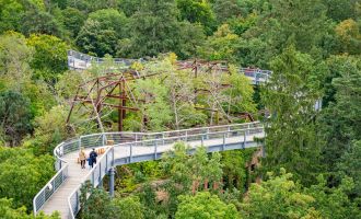 Baum&Zeit Baumkronenpfad, Foto: Annabell Bartels, Lizenz: Tourismusverband Fläming e.V.