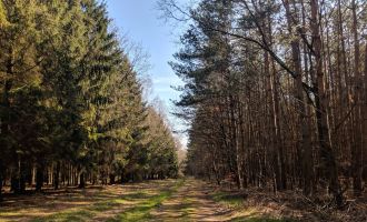 Kunstwanderweg - Steinquelle, Foto: Antje Tischer, Lizenz: TMB-Fotoarchiv