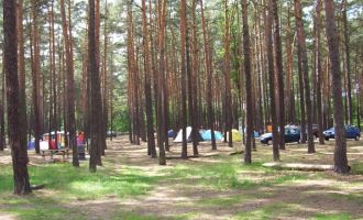 Stellplätze im Wald auf dem Campingplatz, Foto: Campingplatz Neue Scheune