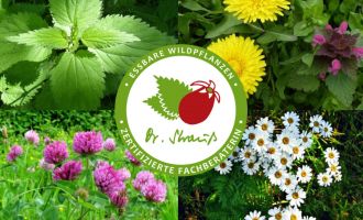 Wildpflanzen in Schwielowsee, Foto: Jacqueline Koch, Lizenz: Jacqueline Koch