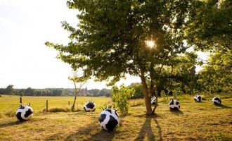 Internationaler Kunstwanderweg, Foto: TMB-Fotoarchiv/Paul Hahn