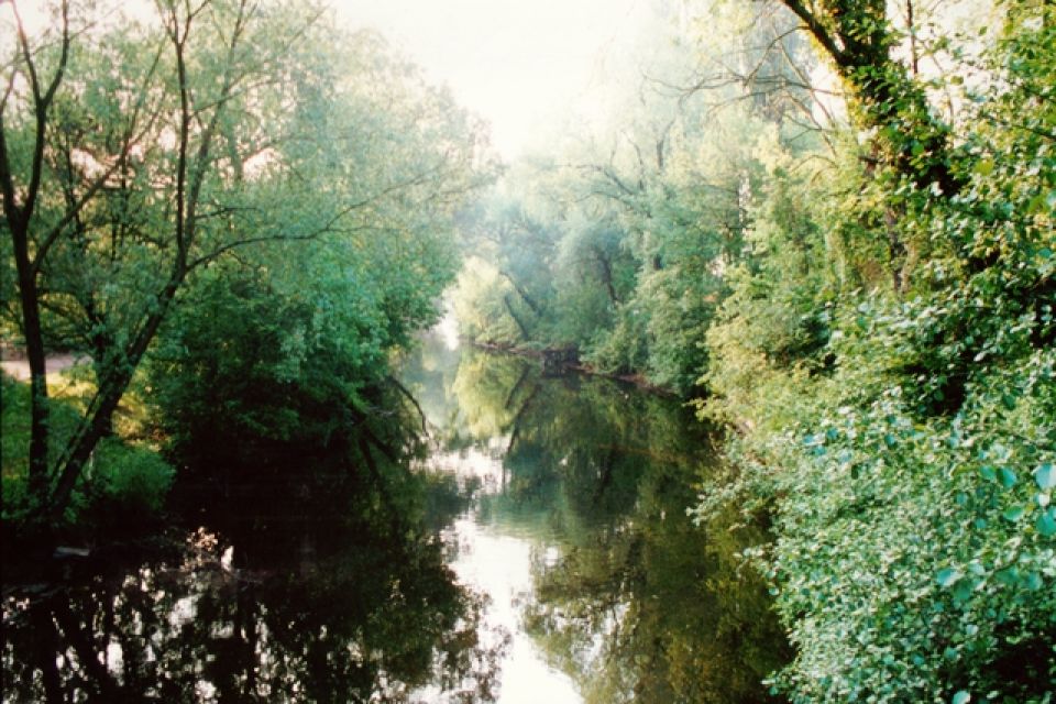 Startseite Schwielowsee Tourismus