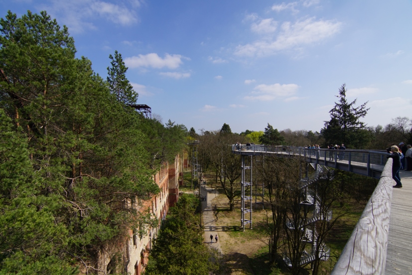 Hoch oben auf dem Baumkronenpfad
